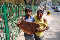 Two boys show off their find of a honeycomb.