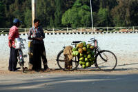 A street vendor with only a modest load of coconuts